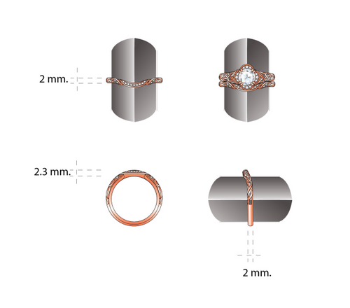 Design & Visualization